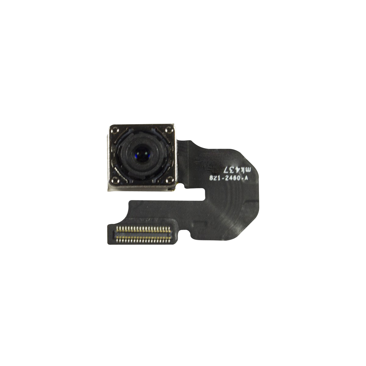 iPhone 6 Plus Rear-Facing Camera